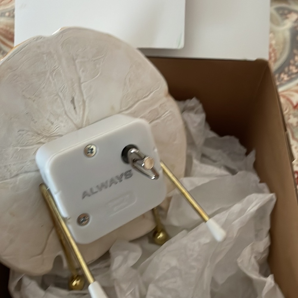 Musical shell - Picture 2 of 2